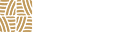 Fashion Concept